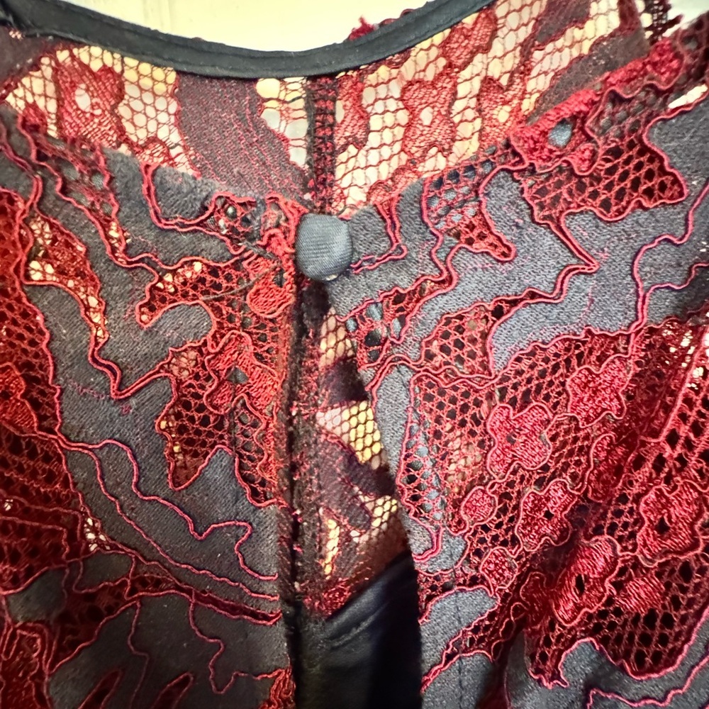 Francesca's Collections Burgundy Lace Overlay Dress - Picture 7 of 8